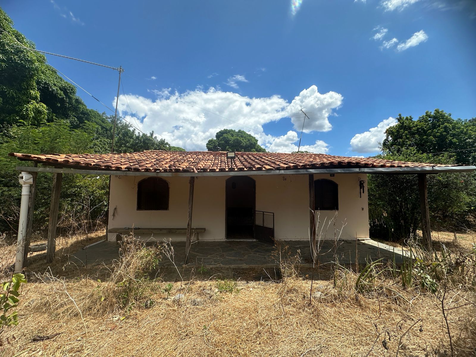 Fazenda Santa Tereza região de Corinto MG